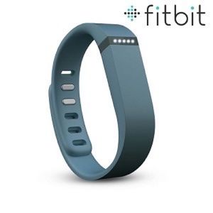 Fitbit Flex - Slate (S & L)